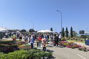 (Snimio Zvonimir Guzić)