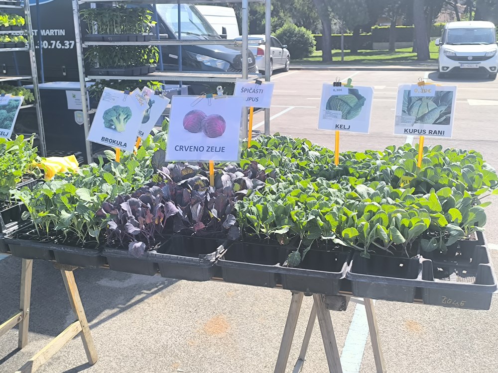 (Snimio Zvonimir Guzić)