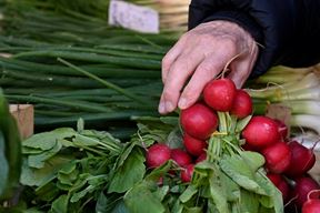 Ilustracija (Snimio Marko Gracin)