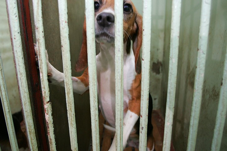 (Snimio Igor Kralj / Pixsell)