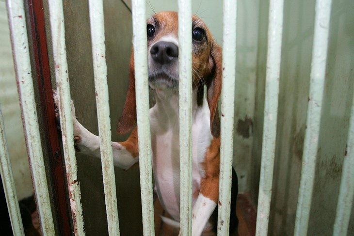 (Snimio Igor Kralj / Pixsell)