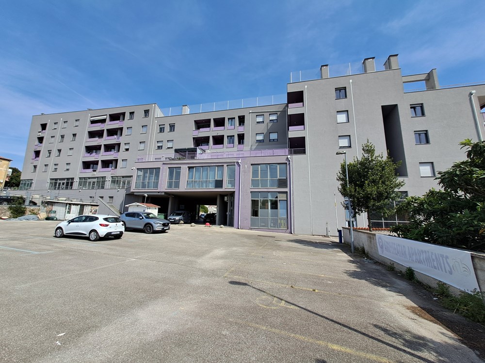 (Snimio Zoran Oljača)