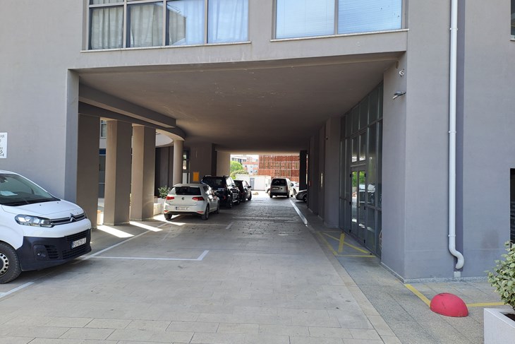 (Snimio Zoran Oljača)