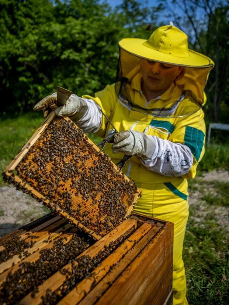 (Snimila Gordana Čalić &Scaron;verko)