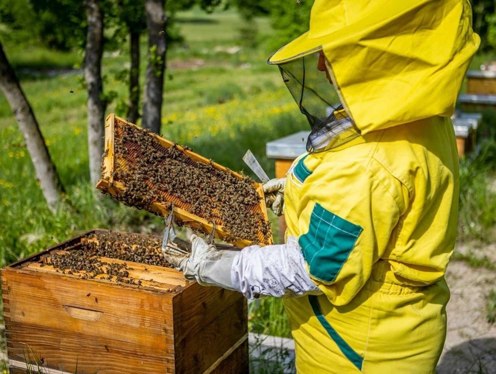 (Snimila Gordana Čalić &Scaron;verko)