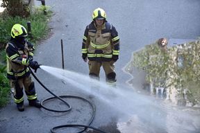 (Snimio Davor Kovačević)