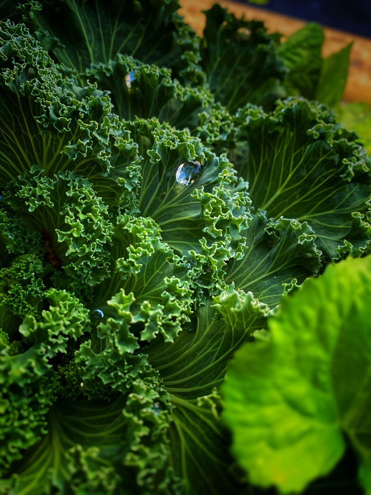 Ilustracija (Pexels)