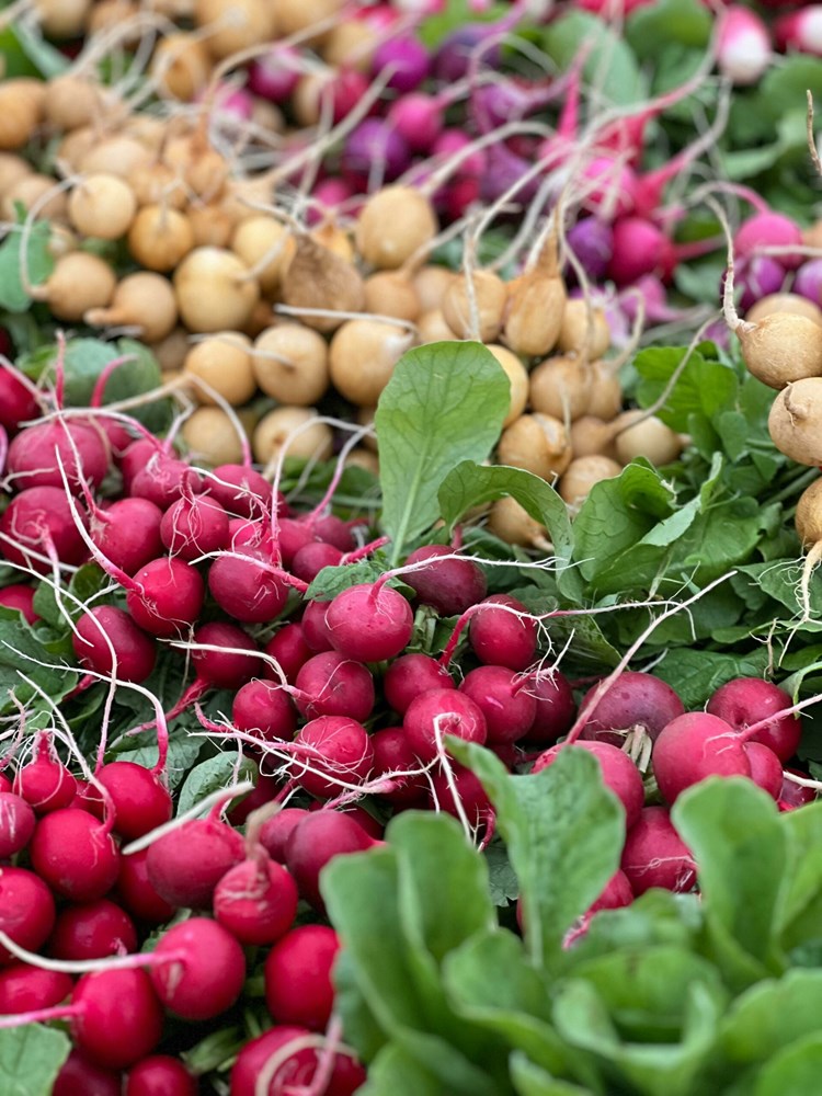 Ilustracija (Pexels)