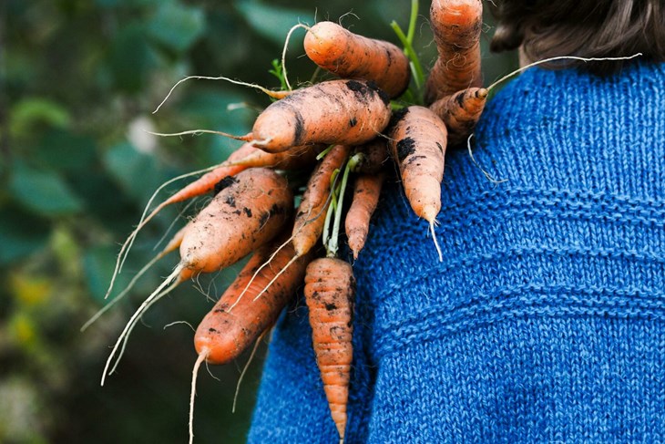 Ilustracija (Pexels)