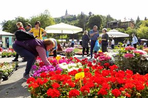 (Snimila Gordana Čalić Šverko)