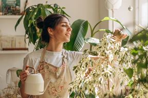 (Foto: iStock)