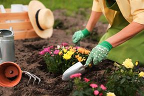 (Foto: iStock)