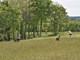 (Lagoda Disc Golf)