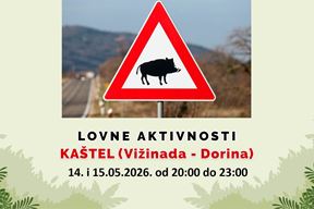 (Grad Buje)