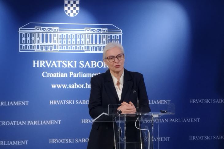 Dušica Radojčić (Možemo! Pula)