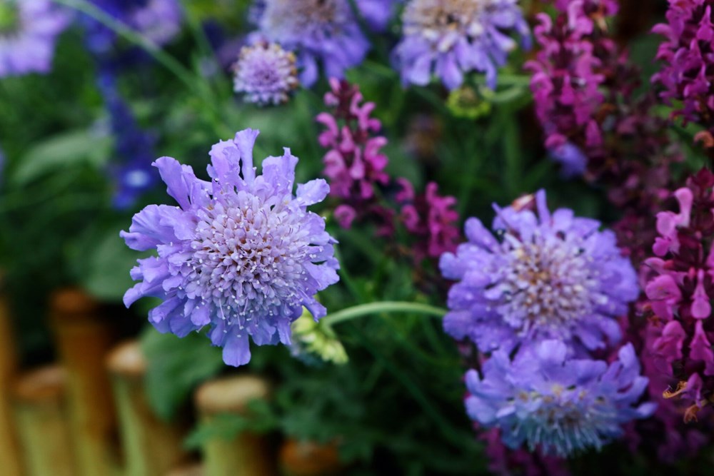 (Foto: iStock)