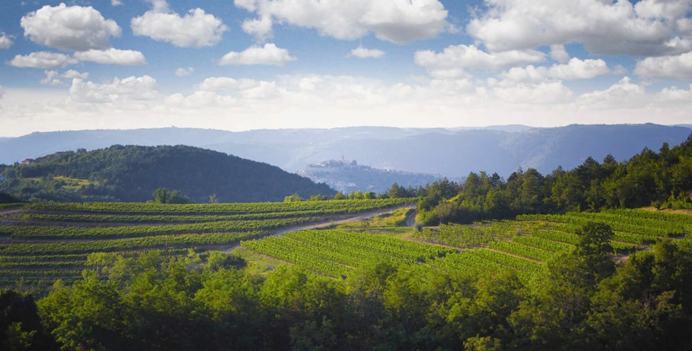 (Foto: Vinarija Benvenuti)