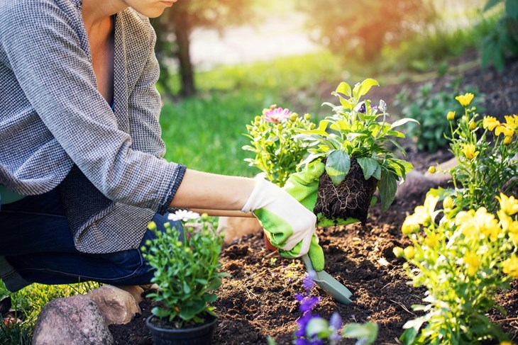 (Foto: iStock)
