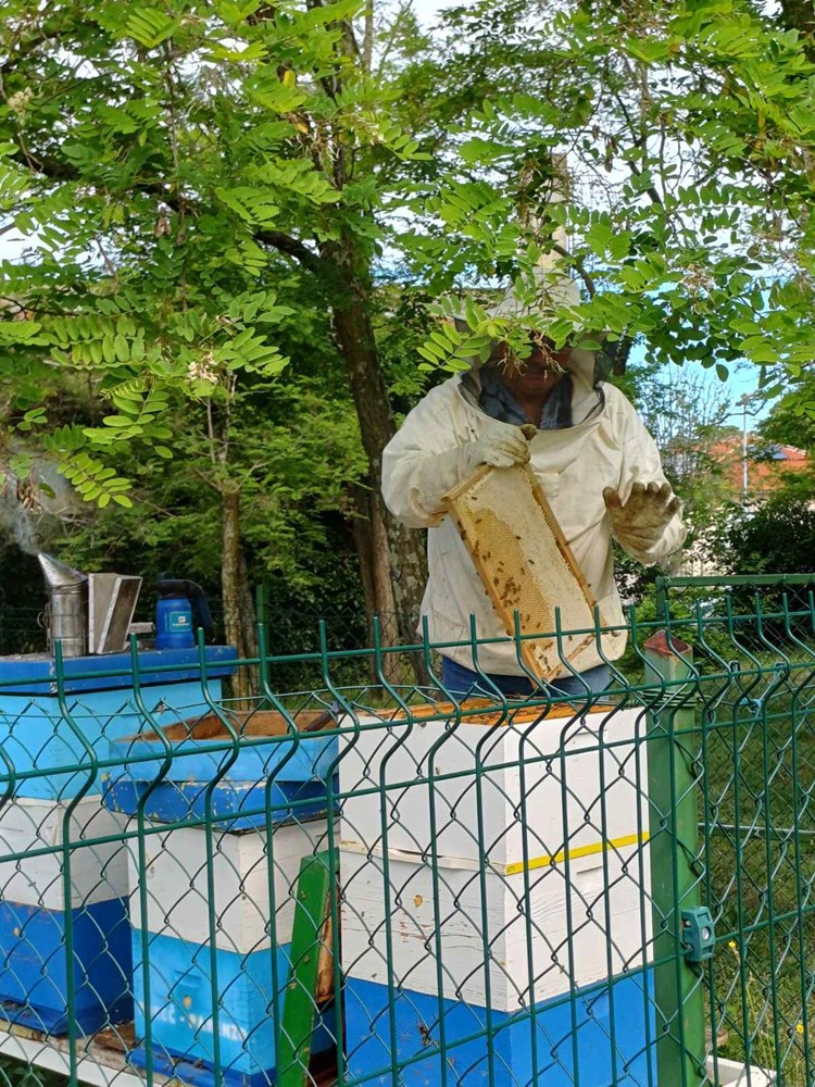 (Foto: Grad Poreč)
