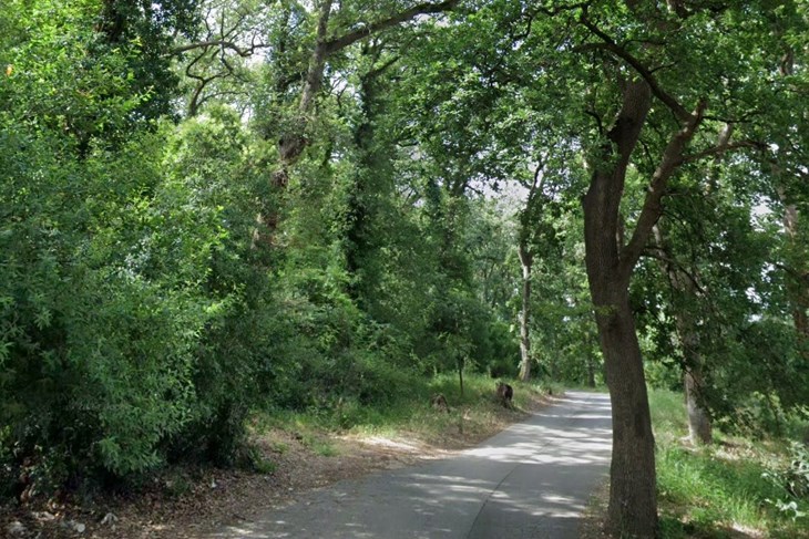 Boškarica (Google Maps)
