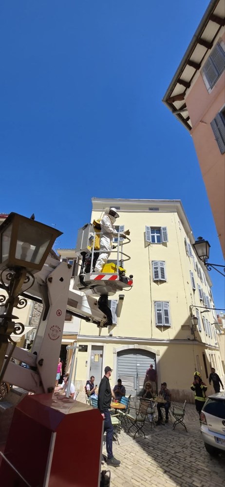 (Foto: JVP Rovinj)