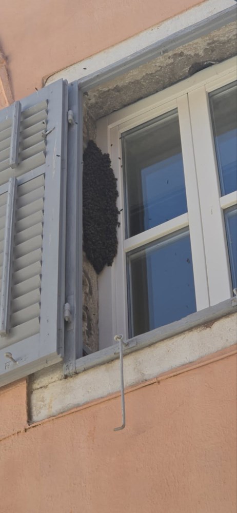 (Foto: JVP Rovinj)