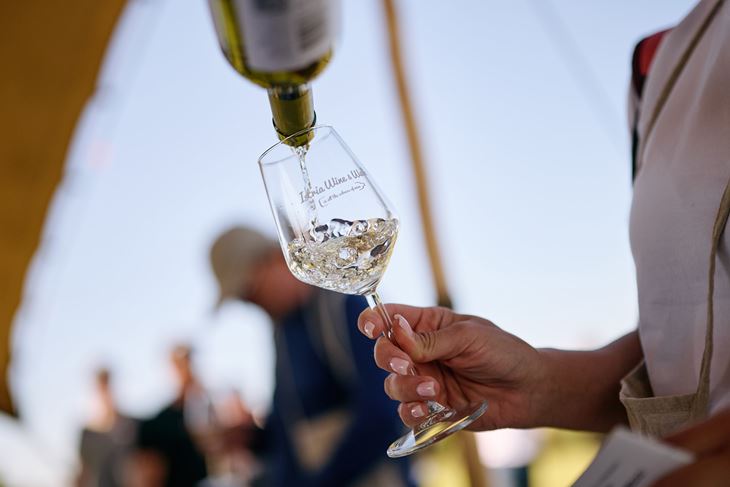Istria Wine & Walk (COI 2026.)