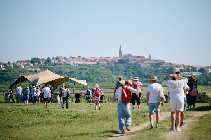Istria Wine & Walk (COI 2026.)