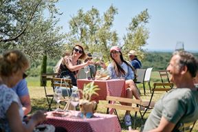 Istria Wine & Walk (COI 2026.)