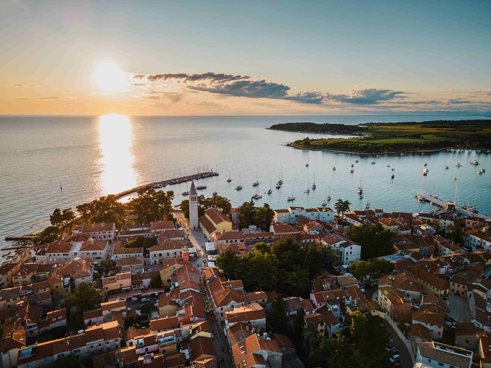 (TZ Novigrad)