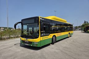 Pula autobus (Press)