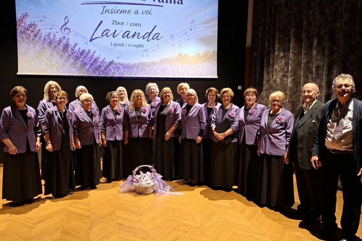 (Foto Zbor Lavanda)