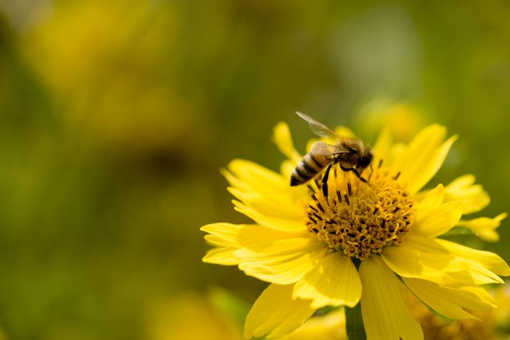 (Foto: iStock)