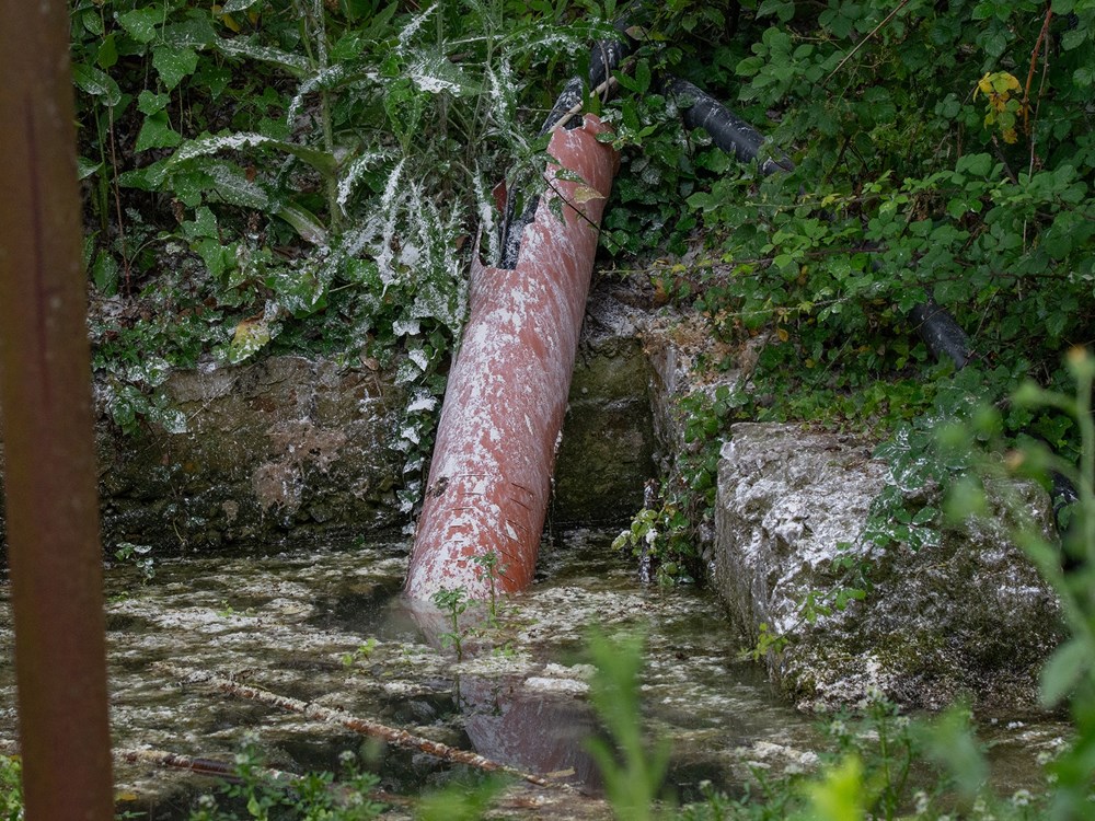 (Foto: Udruga Zelena Istra)