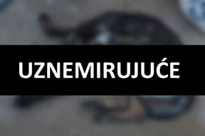 (Screenshot Facebook /Udruga Šape Rovinj-Rovigno)