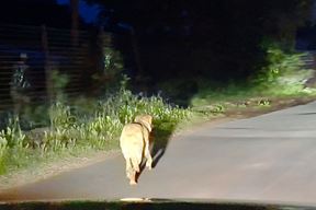 (Snimio čitatelj Glasa Istre)
