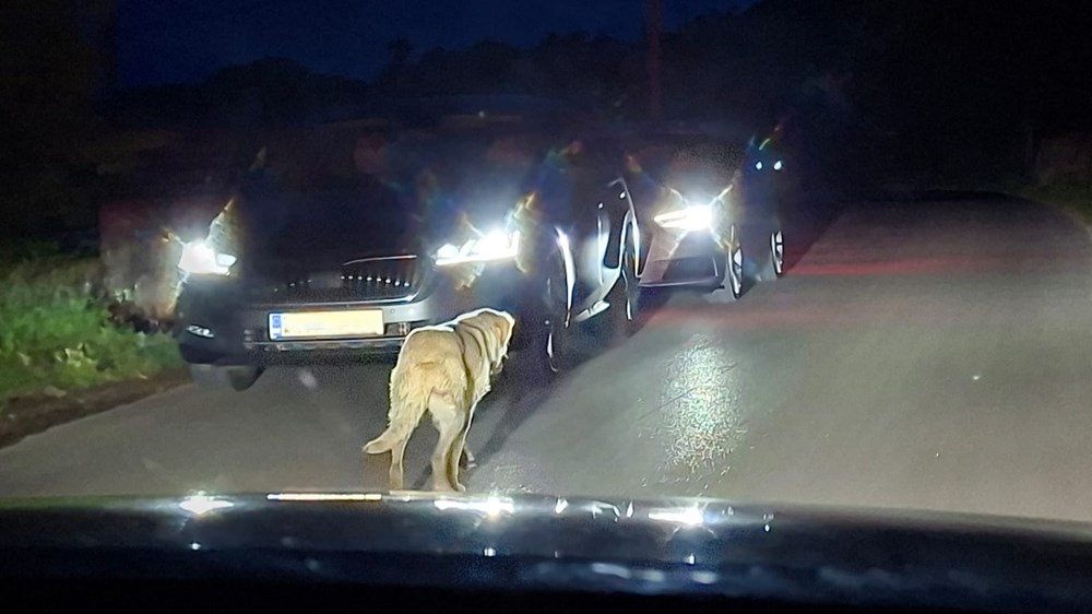(Snimio čitatelj Glasa Istre)