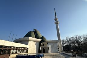 (Wikimedia Commons / Baltbatar)