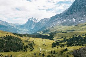 (Unsplash)
