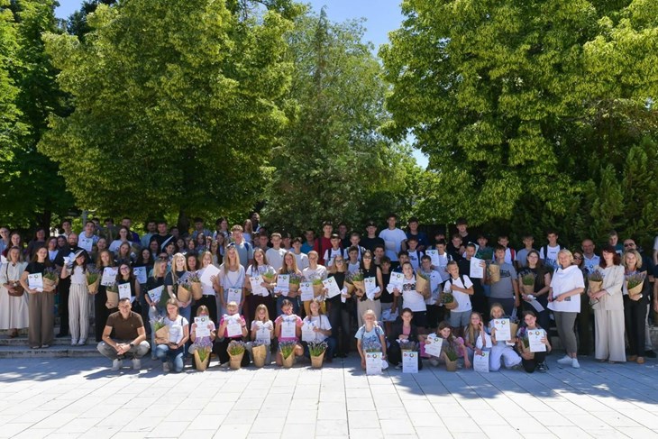 (Grad Pazin)