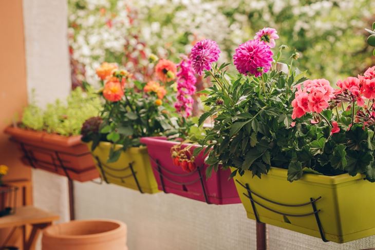 (Foto: iStock)