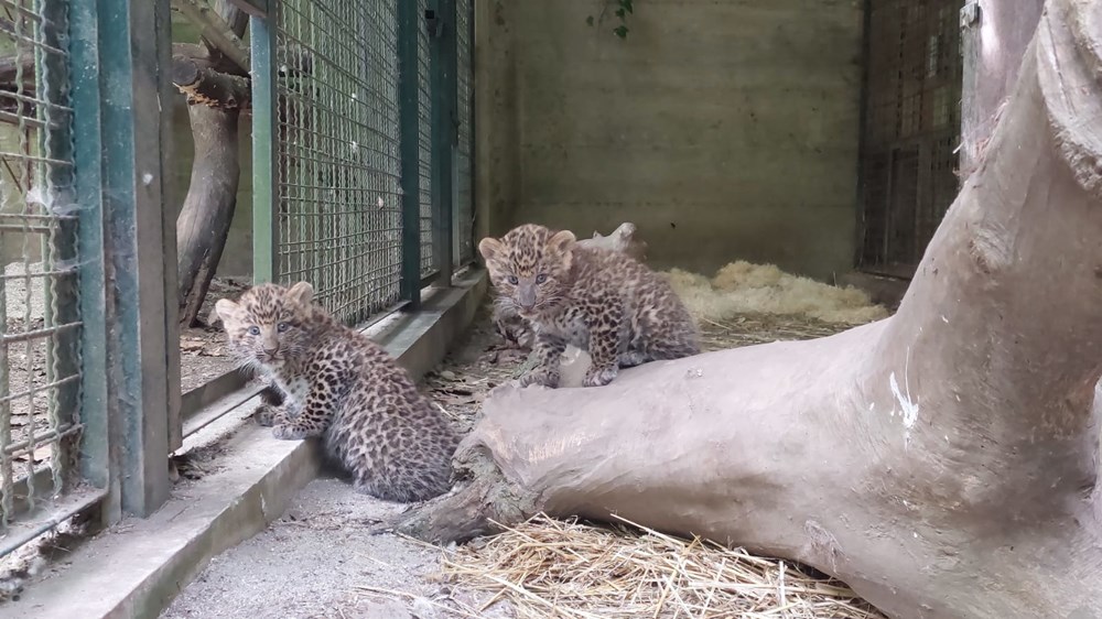 (Foto: Zoolo&scaron;ki vrt Grada Zagreba)