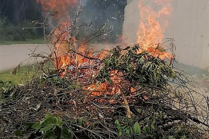 (Foto: PU Istarska)