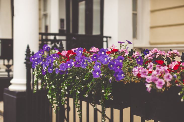 (Foto: iStock)