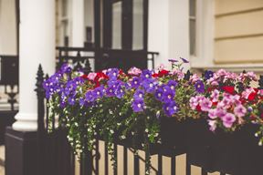 (Foto: iStock)