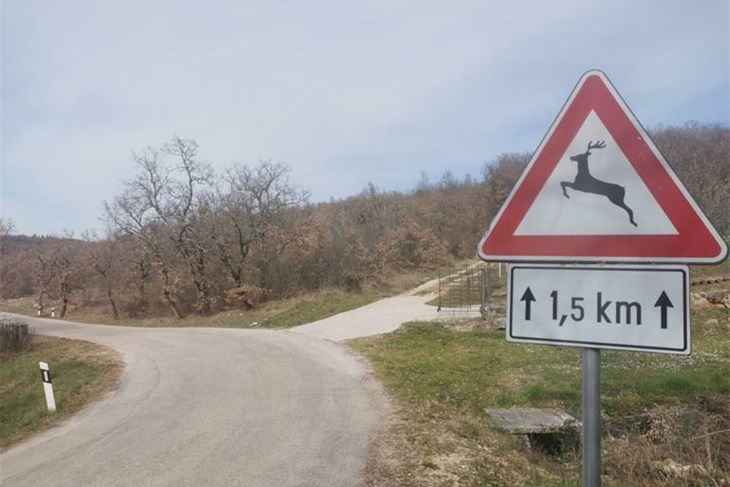 Ilustracija (Foto: PU Istarska)