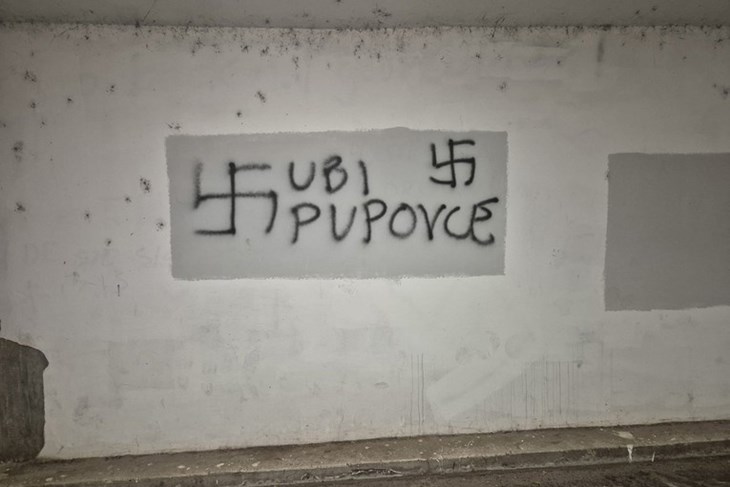 (Srpsko narodno vijeće)