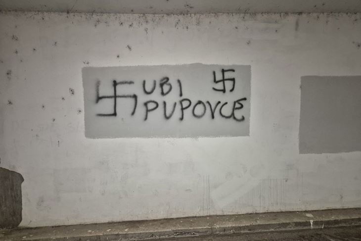 (Srpsko narodno vijeće)