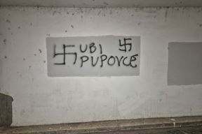 (Srpsko narodno vijeće)