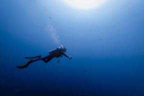Ronjenje Ilustracija (Unsplash)
